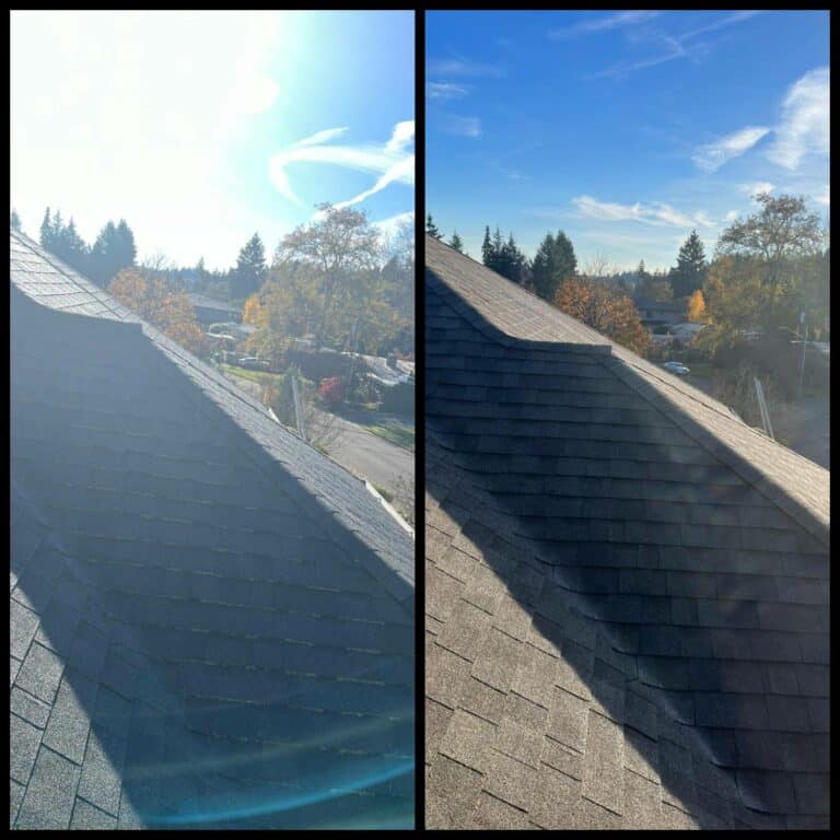 Low Pressure Moss removal kent renton Auburn Covington Des Moines Federal Wa Maple Valley shingles experienced roof gutter cleaning (2)