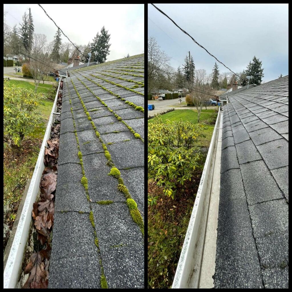 Visual Reference: Gallery Experienced Roof Gutter Cleaning Llc