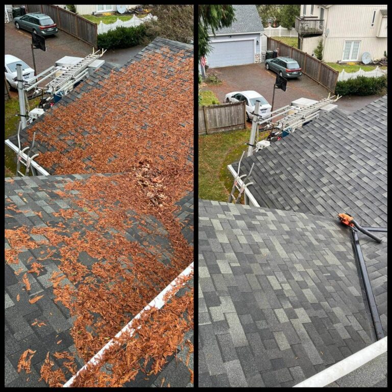 Renton roof cleaning near me