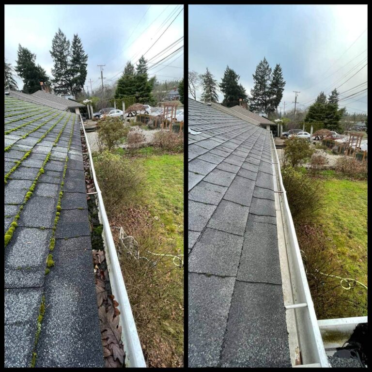 local gutter cleaning Tacoma WA