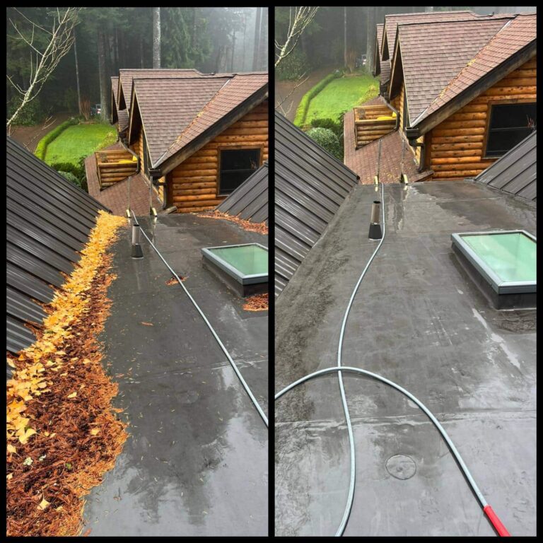 roof cleaning companies Tacoma WA