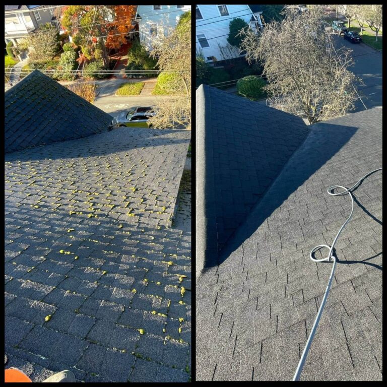 roof moss cleaning Tacoma WA