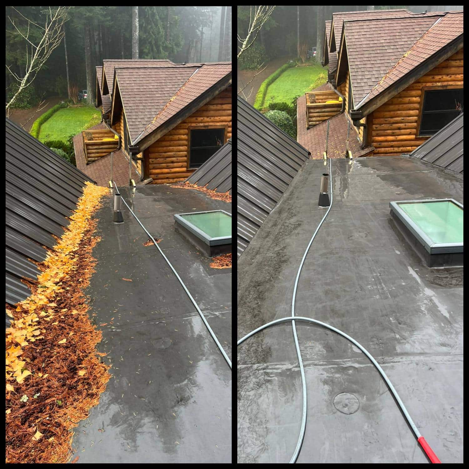 roof cleaning companies Maple Valley, WA