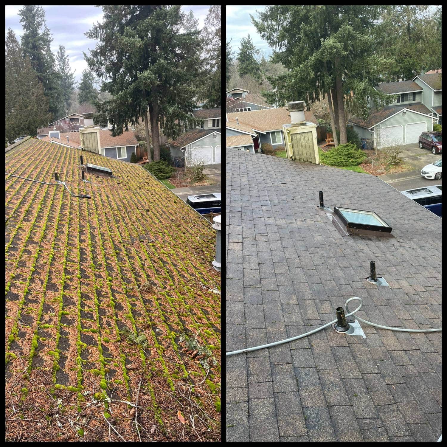 roof cleaning and moss removal Bellevue, WA