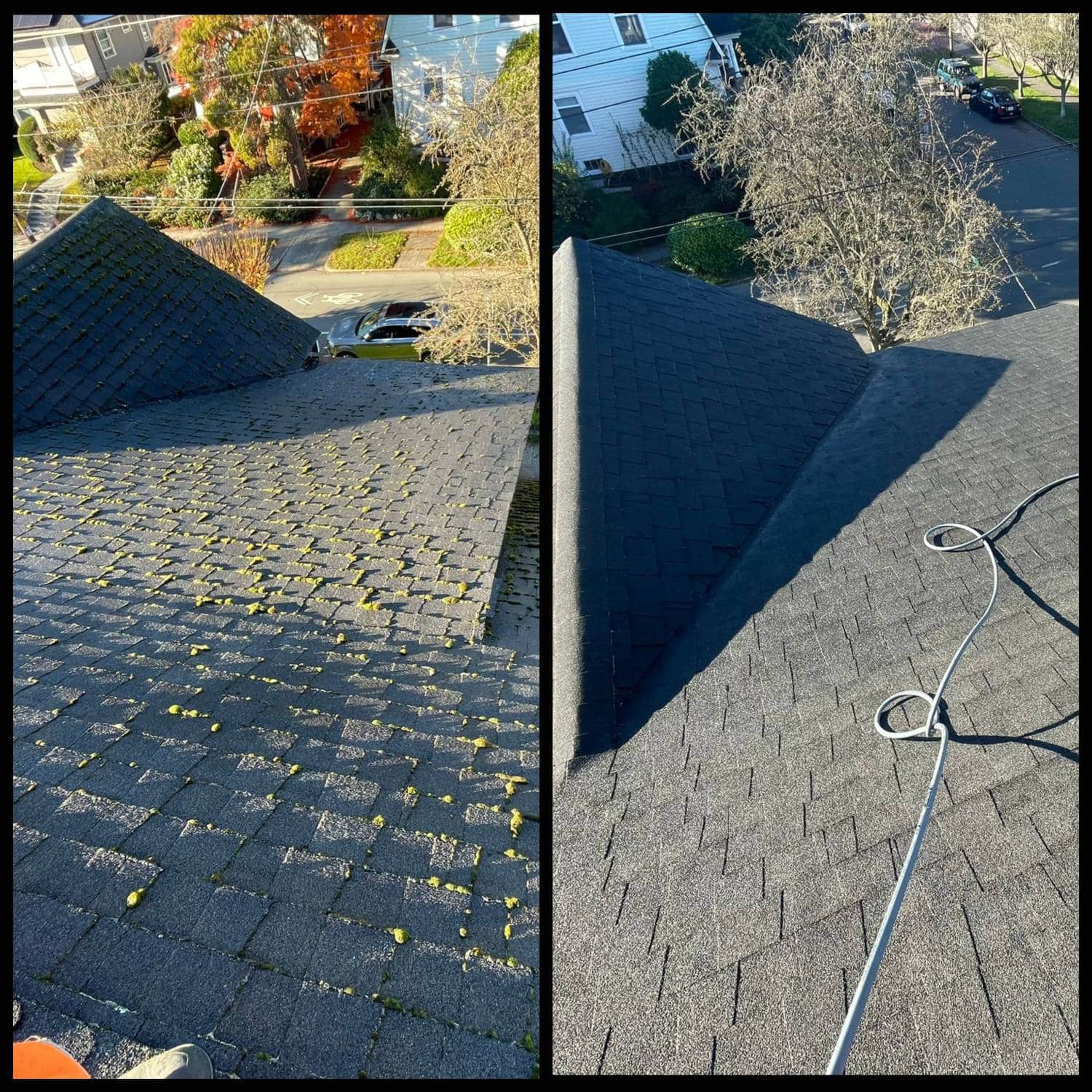 roof moss cleaning Bellevue, WA