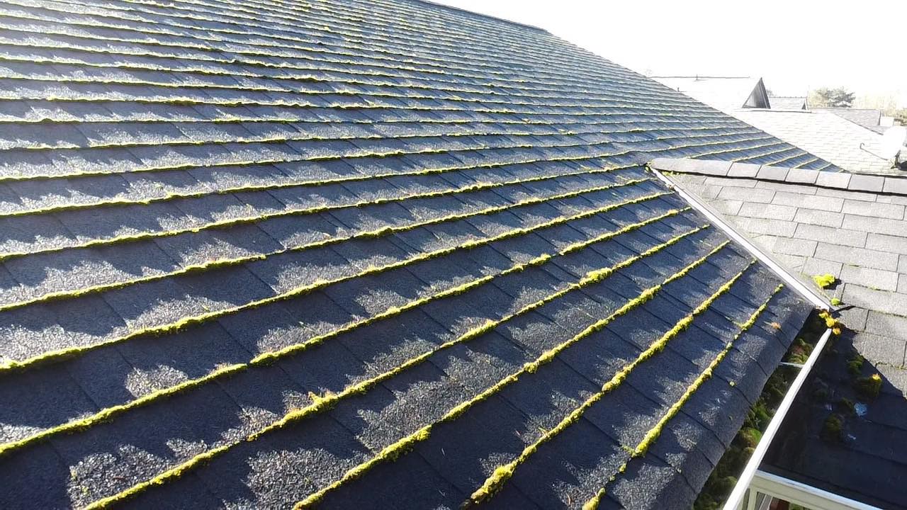 How Long Does a Professional House Siding Wash Take