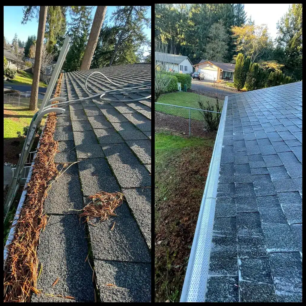 Gutter Guards Before:After