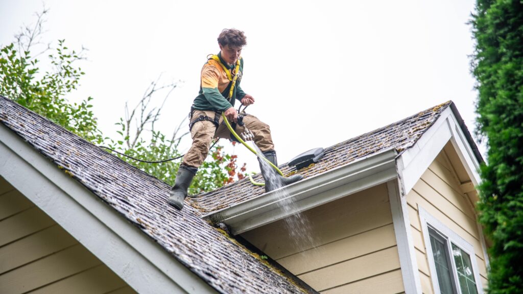 Roof cleaner standing on top of a house using a hose to wash shingles.