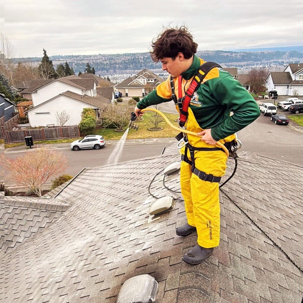 Experienced Roof and Gutter Cleaning