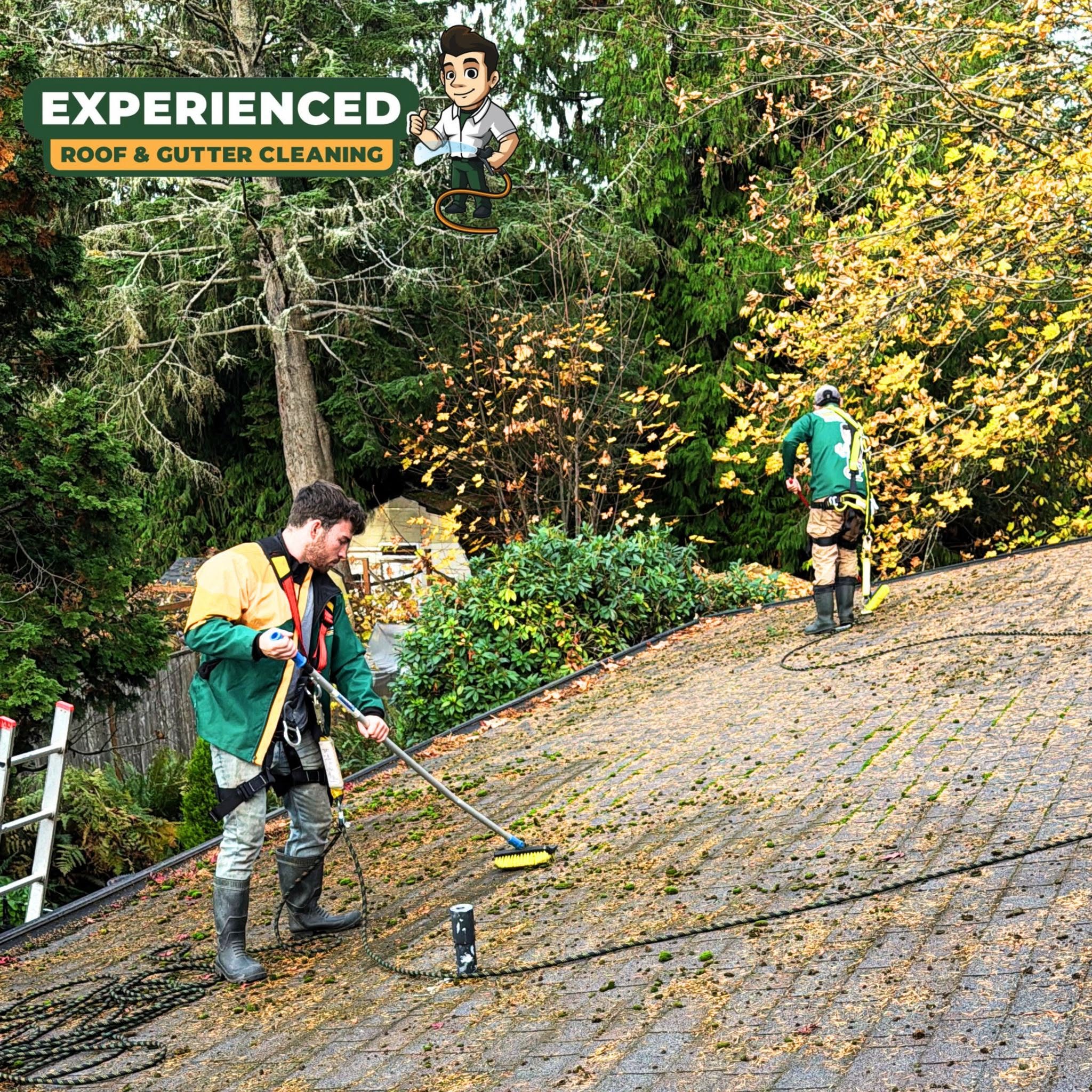 Why Clearing Moss Is the Key to a Successful Roof Inspection in Renton, WA?