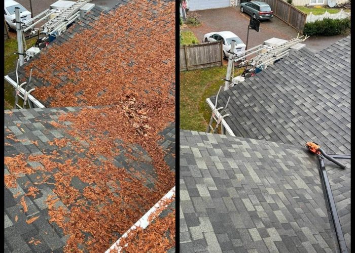 What Is Roof Cleaning and Why Is It Important?