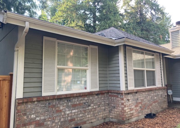 Experienced Roof and Gutter Cleaning