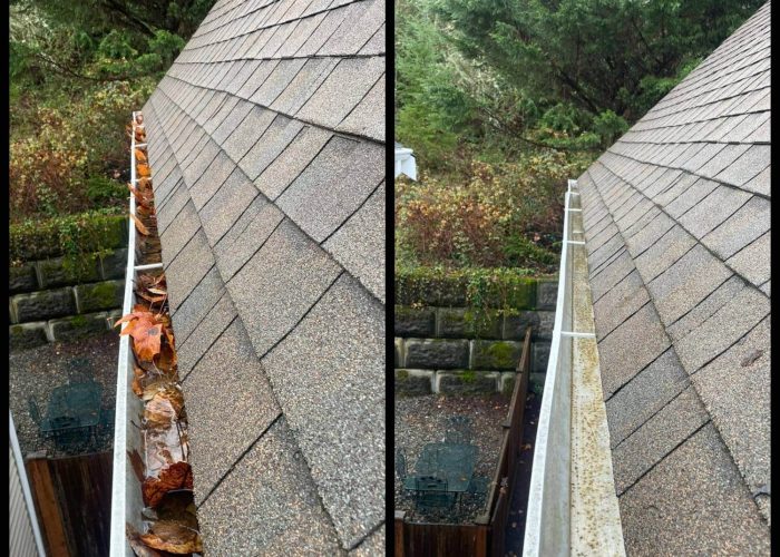 Maple Valley rain gutter cleaning near me